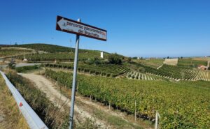 Pedalando tra i paesaggi dell’Unesco: domenica tutti in sella!