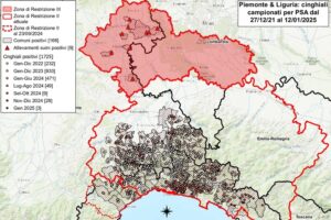 Peste suina, via libera all’abbattimento dei cinghiali nella Zona 1
