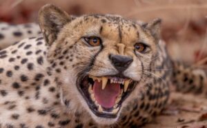 La mia Africa: a Terzo incontro con il fotografo Marco Pomella