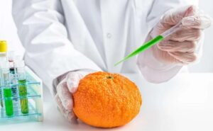 Ogm e sostenibilità alimentare: se ne parla all’ex Kaimano