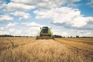 Protopapa (Lega): “La nuova Pac è una minaccia per l’agricoltura italiana”