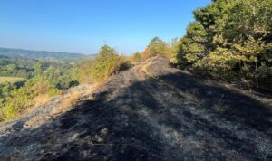 Incendio a Pareto: fiamme domate, bruciati nove ettari di terreno
