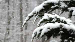 Meteo, venerdì possibili nevicate nell’Acquese