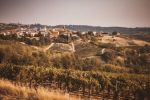 Cantina Tre Secoli premiata per l’eccellenza dei suoi vini Docg