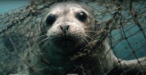 Al Movicentro si inaugura la mostra su “i fantasmi del mare”