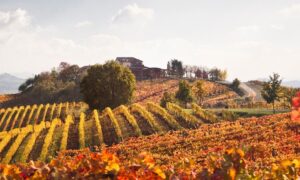 Al ‘Cascinone’ la camminata slow per la ricerca sulla fibrosi
