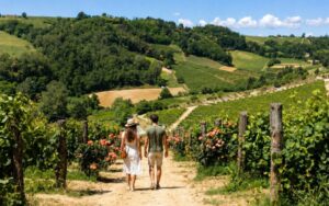 Tra i vigneti del Passito: a Strevi torna la “Passeggiata Slow”