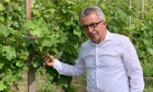 Protopapa: “Odg in Regione per la tutela delle aree agricole di pregio”