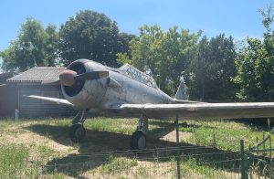 Acqui Terme: salviamo il vecchio Texan